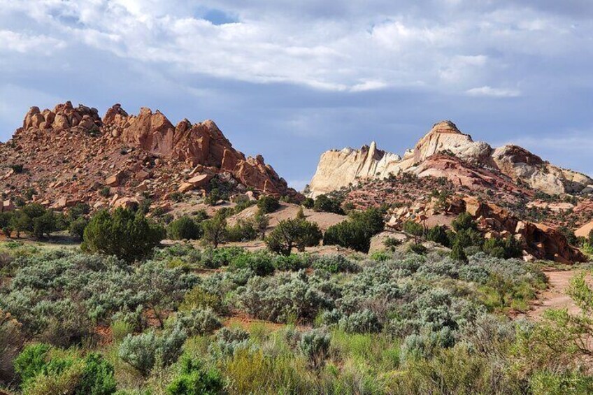 Waterpocket Fold Offroad Tour to Strike Valley Overlook