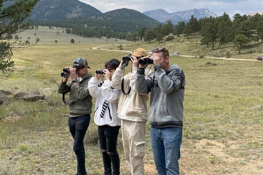 Full Day Tour in Rocky Mountain National Park Lunch Included