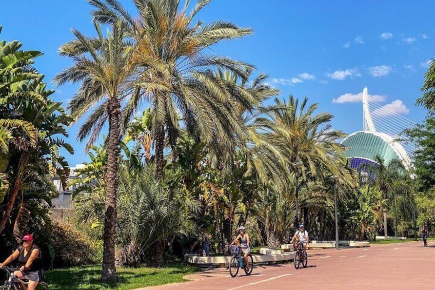 Valencia Private Bikes and E-Bikes Tour With Drinks