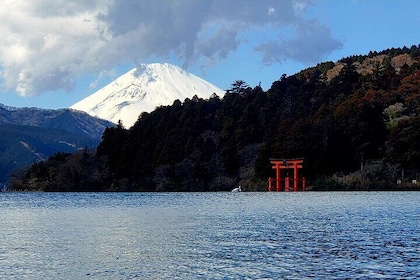 Guided 2 Days Mt. Fuji and Hakone Tour GREEN NUMBER PLATES