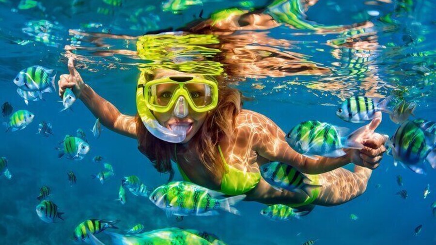 El Cielo Snorkeling Adventure in Cozumel