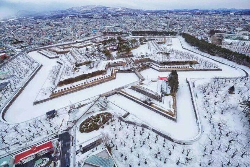 Goryokaku Tower