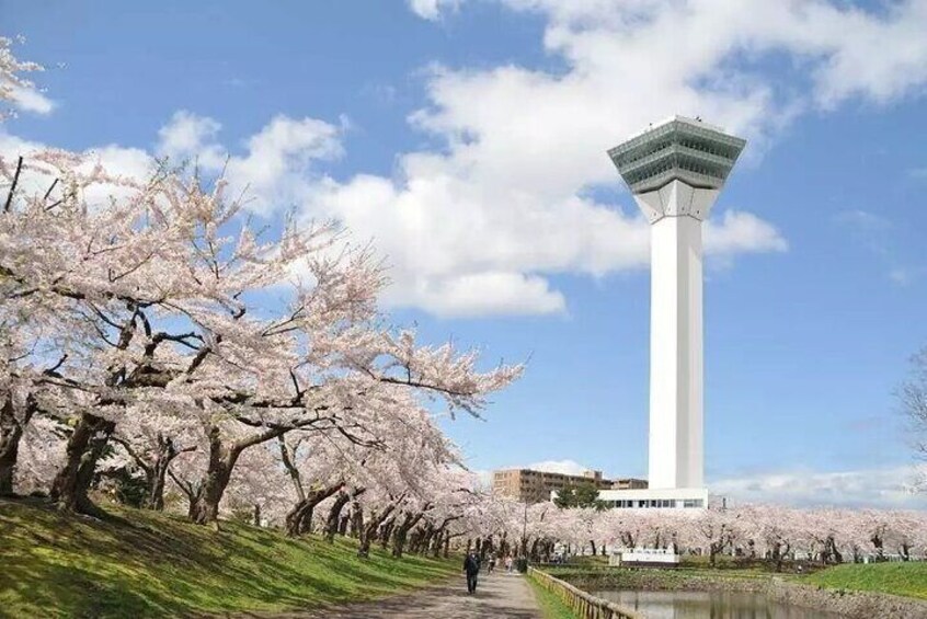 Goryokaku Tower