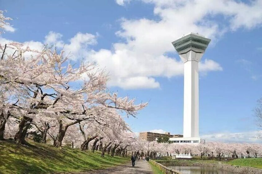 Goryokaku Tower