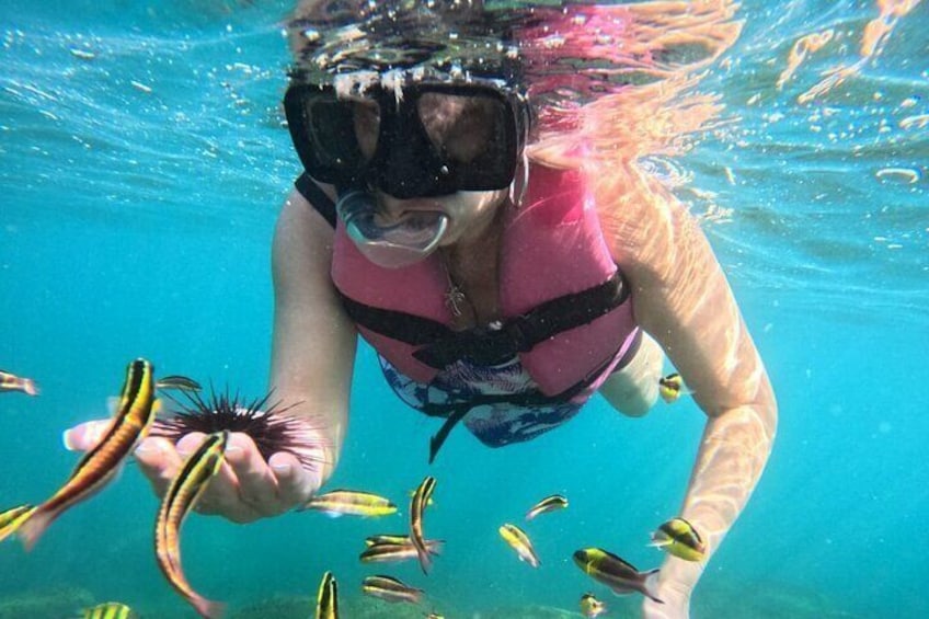 Snorkeling Activity in Ixtapa Island