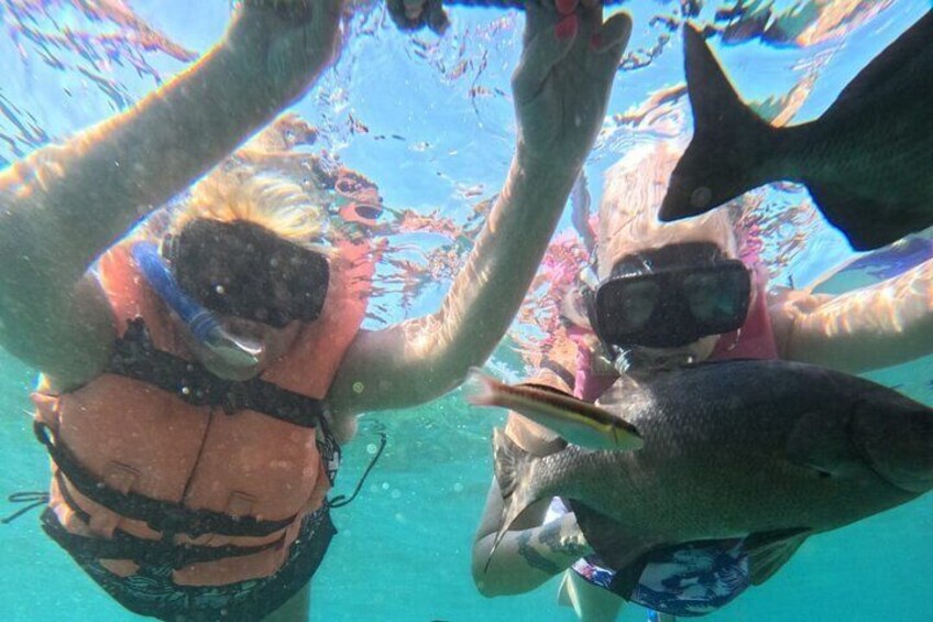 Snorkeling Activity in Ixtapa Island