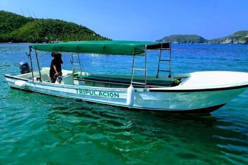 Snorkeling Activity in Ixtapa Island