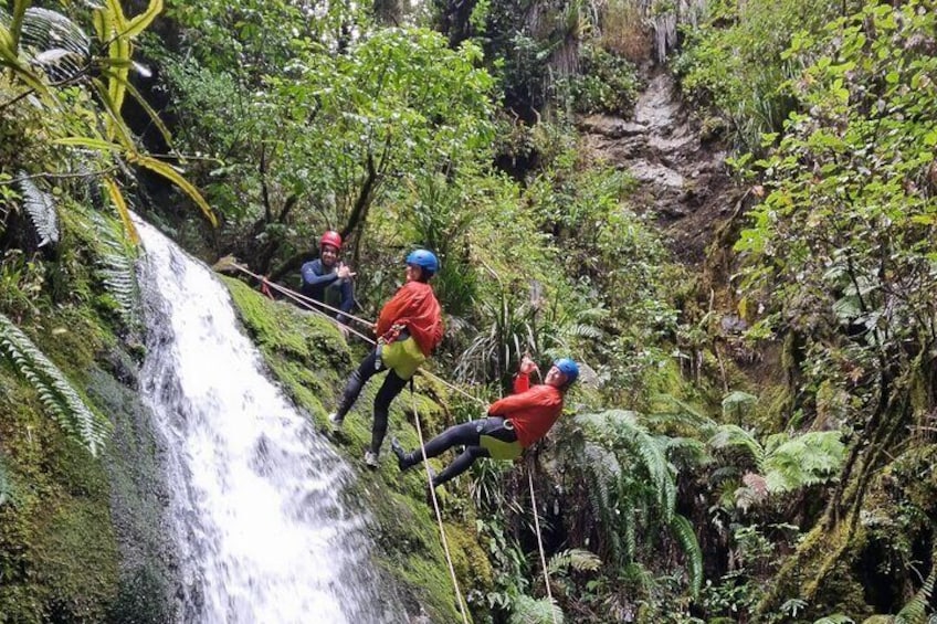 Take a plunge into the Akatarawa natural playground. 