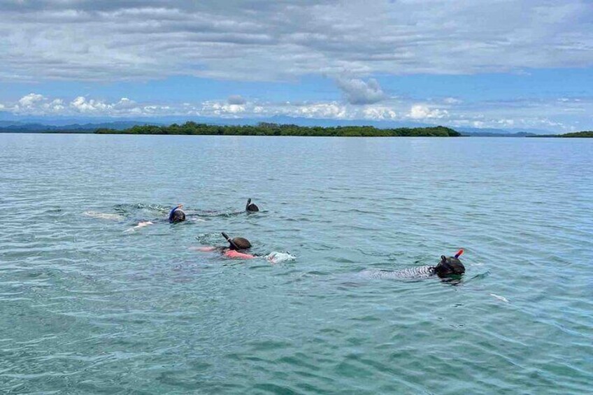 Bocas del Toro Island Hopping Day Tour in Zapatilla Beach