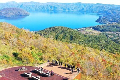 Excursion d'une journée à Noboribetsu et Toya