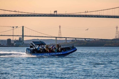 Halifax Harbour Historical & Wildlife High-Speed Tour