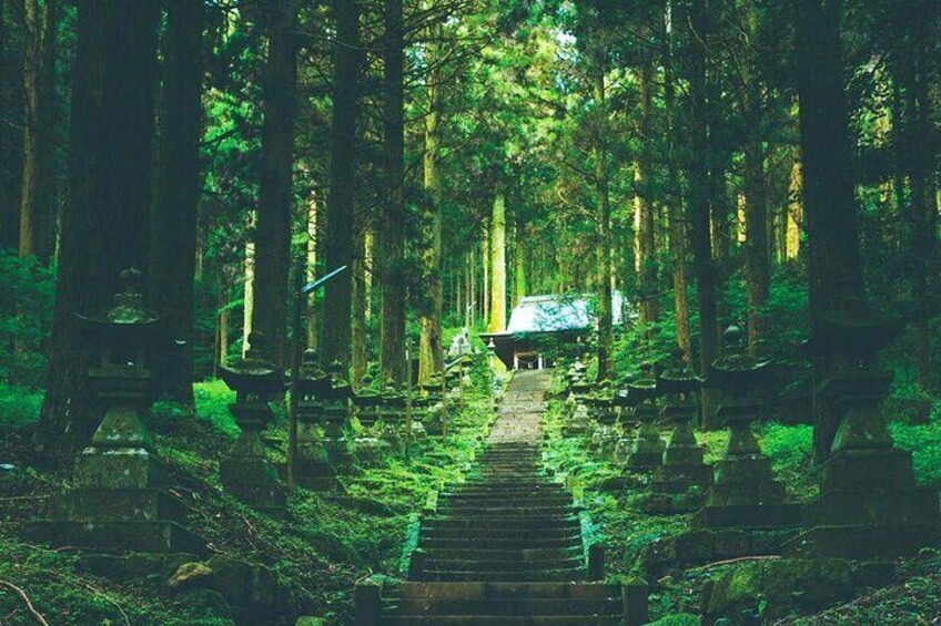 Kamishikimi Kumanoza Shrine: Situated in Aso, Kumamoto Prefecture, this shrine is known for its lantern-lined path and its appearance in a popular manga, attracting many global visitors.