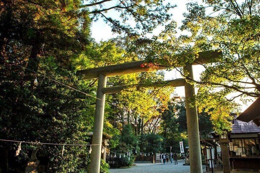 Amano Iwato Shrine: Located in Takachiho Town, Nishiusuki District, Miyazaki Prefecture, this shrine is renowned for the tradition of piling stones on the Amano River to make wishes.