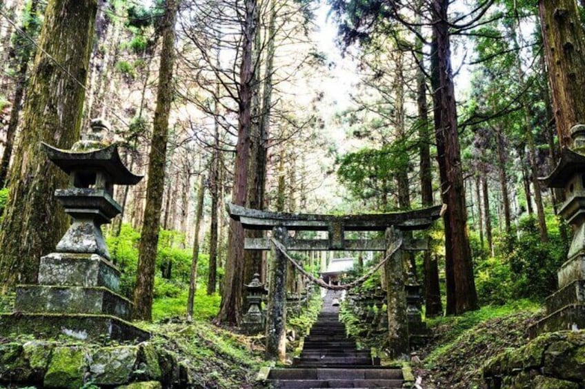 Kyushu Tour of Shrines Sakura Gorges and Landmarks from Fukuoka