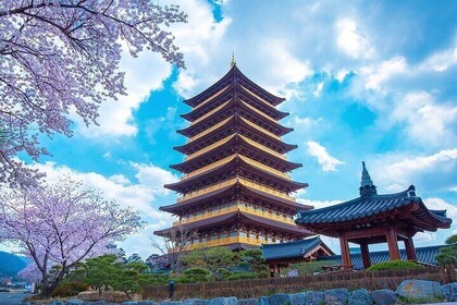 UNESCO World Heritage Gyeongju & Busan One-day Private Tour.