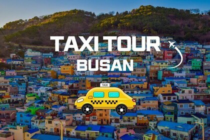 Busan Private Taxi Car Charter Tour