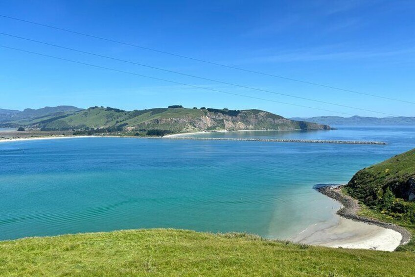 Private Dunedin City & Otago Peninsula Day Tour (up to 8 People)