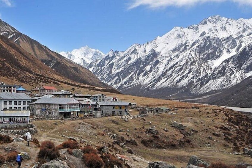 Majestic Serenity: Langtang Valley Embraced by Himalayan Peaks