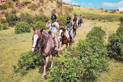 4-Hour Horseback Riding in Sacsahuaymán from Cusco