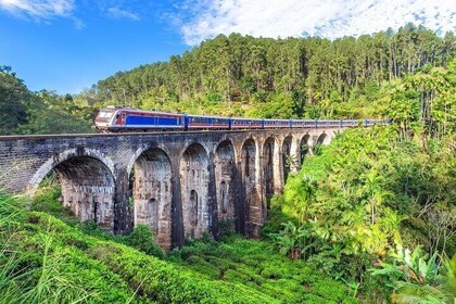 From Kandy Scenic Train Ride 1st or 2nd Class Seats to Ella