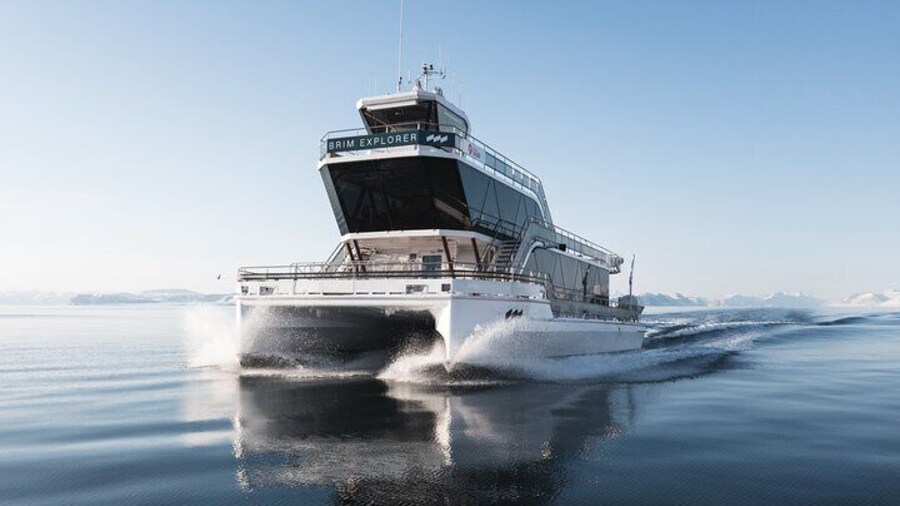 Beiarfjorden Cruise Tour with Guide