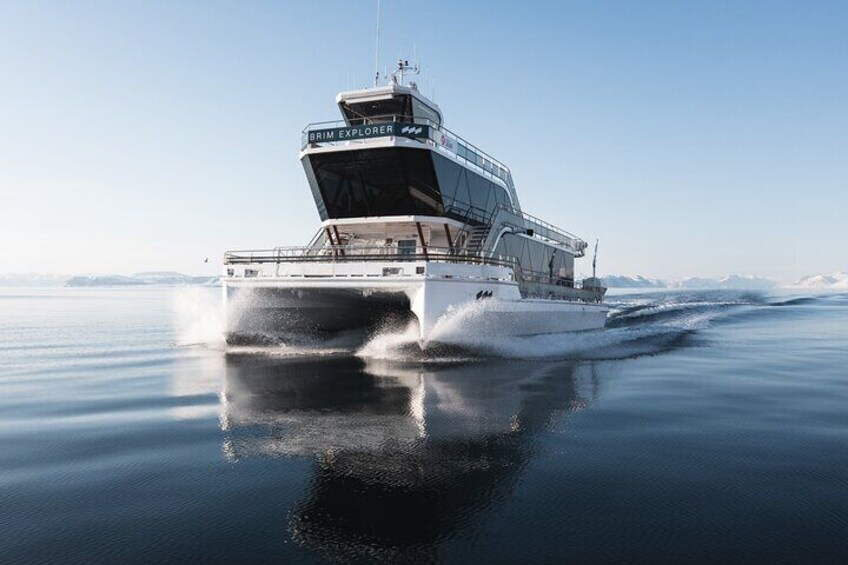 Beiarfjorden Cruise Tour with Guide