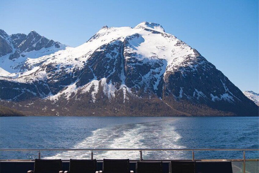 Beiarfjorden Cruise Tour with Guide