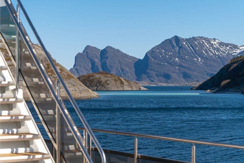 Beiarfjorden Cruise Tour with Guide