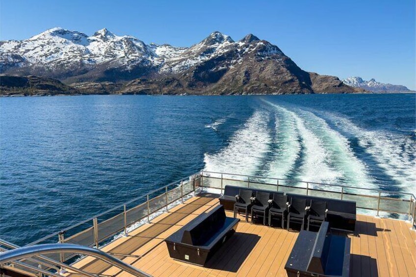 Beiarfjorden Cruise Tour with Guide