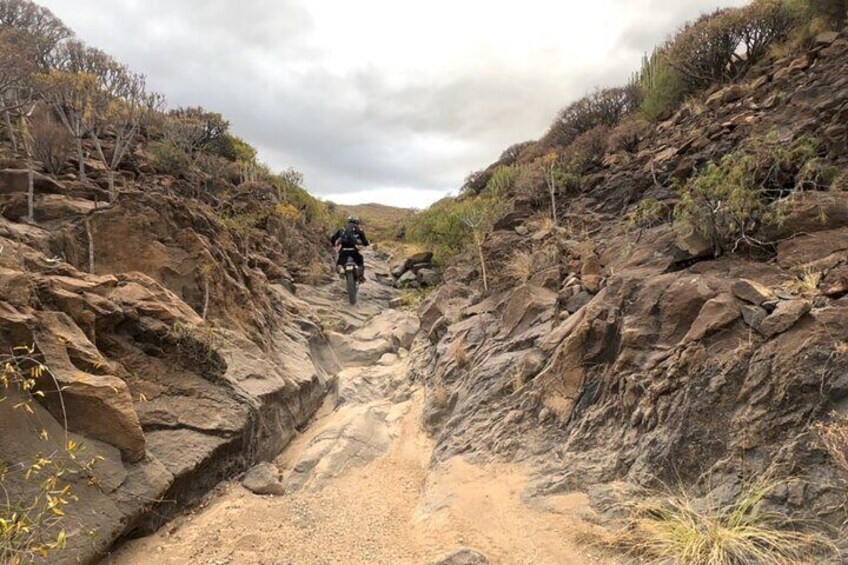  Private Motorbike Tour Excursion in Tenerife 