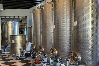 Private tour: discover Langhe wines with expert sommelier