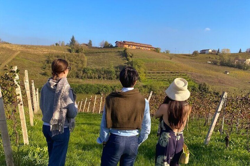 Private tour discovering the Langhe with a local wine expert