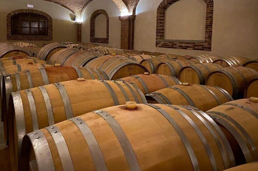 Private tour discovering the Langhe with a local wine expert