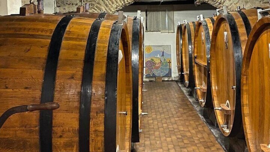 Big botti at "Palladino" winery