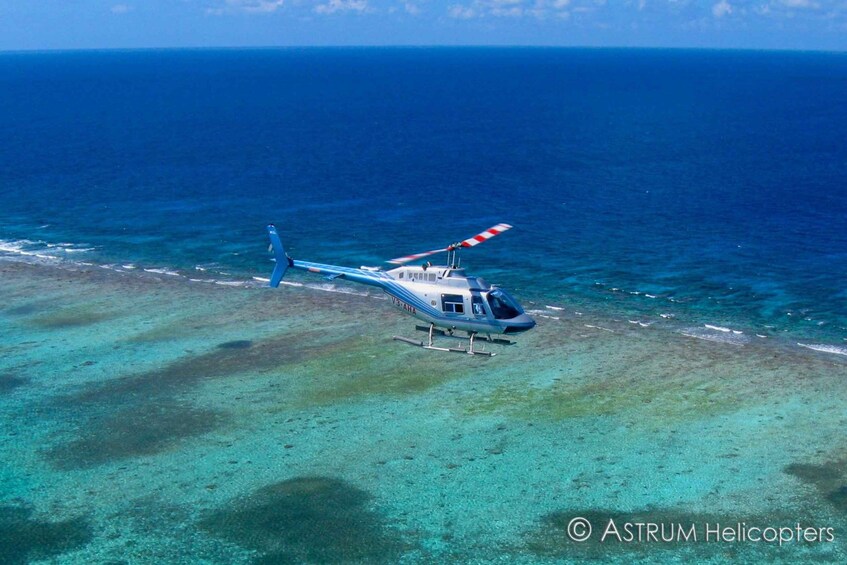 Picture 5 for Activity Blue Hole & Turneffe Islands: Helicopter Tour