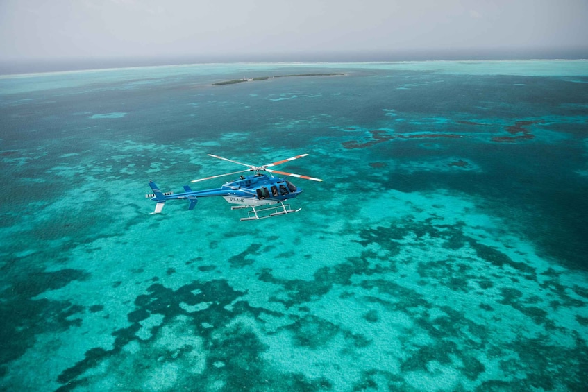 Picture 4 for Activity Blue Hole & Turneffe Islands: Helicopter Tour