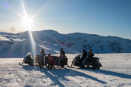 Abisko: Snowmobile Sleigh Expedition with Snack and Hot Drink