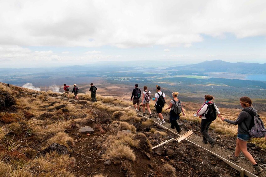 Picture 2 for Activity Tongariro Alpine Crossing: Mountain Shuttle Services