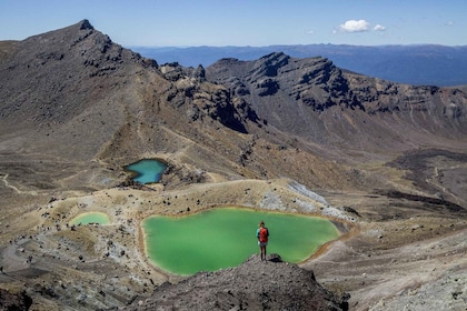 Tongariro Alpine Crossing: Mountain Shuttle Services