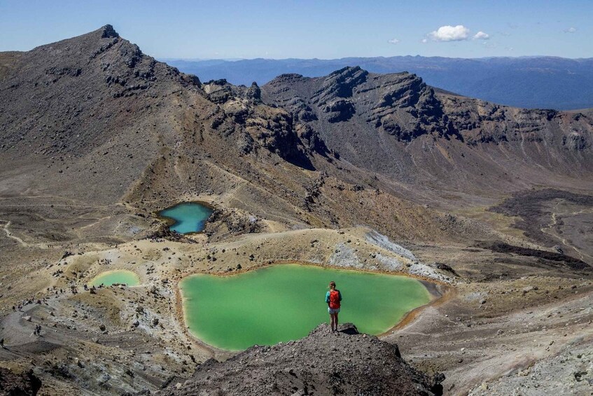 Tongariro Alpine Crossing: Mountain Shuttle Services