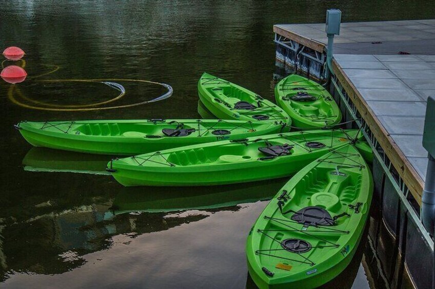 2 Hour Kayak Lessons On Lady Bird Lake