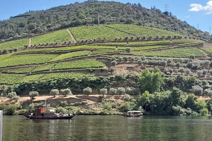 Private Porto Tour from Lisbon with Stop in Douro Valley