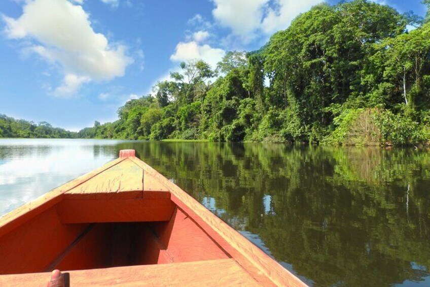 In the Amazon river