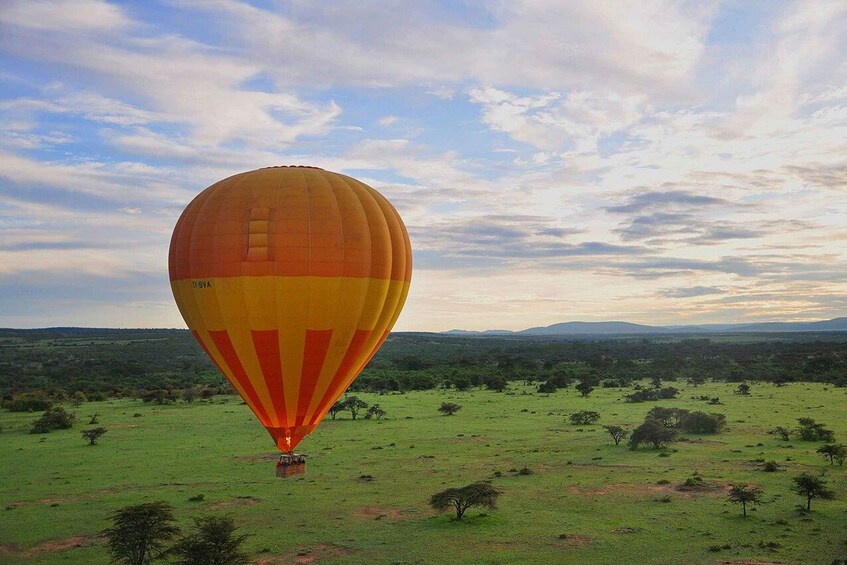 Picture 6 for Activity Masai Mara: 3 Days Private Safari