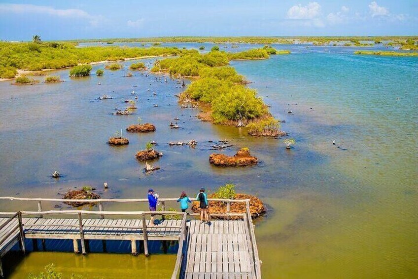Crocodile Sanctuary