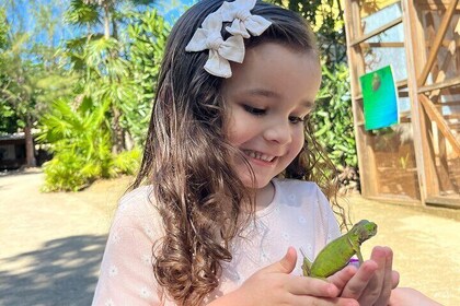 Roatan Monkey and Sloth Park, Iguana Park & Private Island Tour