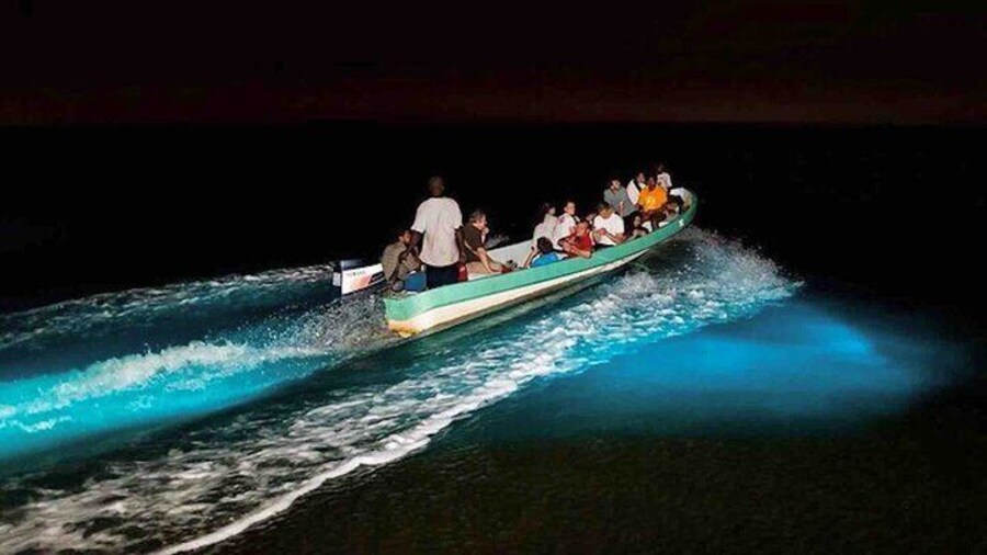 Bioluminescence Snorkeling and Boat Experience at Bocas del Toro