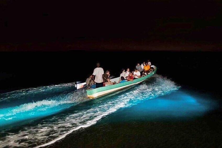 Bioluminescence Snorkeling and Boat Experience at Bocas del Toro