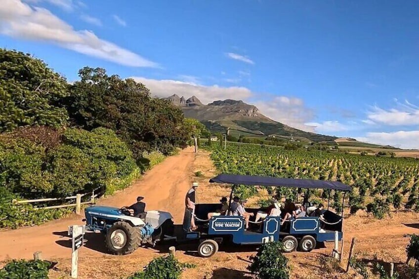 Stellenbosch Wine Tractor Tour with Shuttle from V&A Waterfront