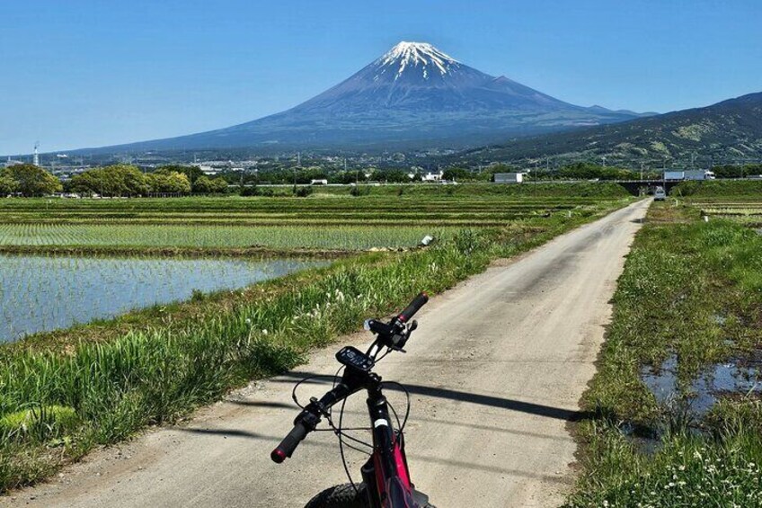 Mount Fuji Cultural and Geological Discovery Tour